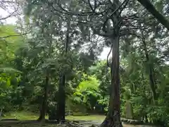 弘川寺(大阪府)