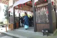 日吉二宮神社のお祭り