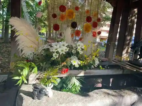 彌彦神社　(伊夜日子神社)の手水舎