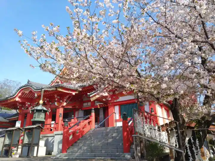 甚目寺(愛知県)