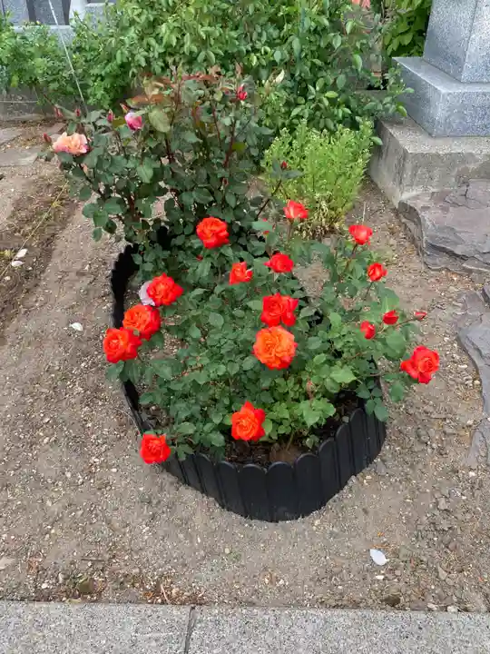 宝光寺(北海道)