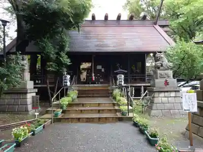 高円寺氷川神社の本殿・本堂