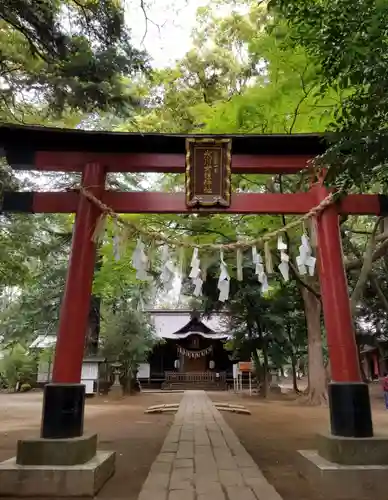 氷川女體神社の鳥居