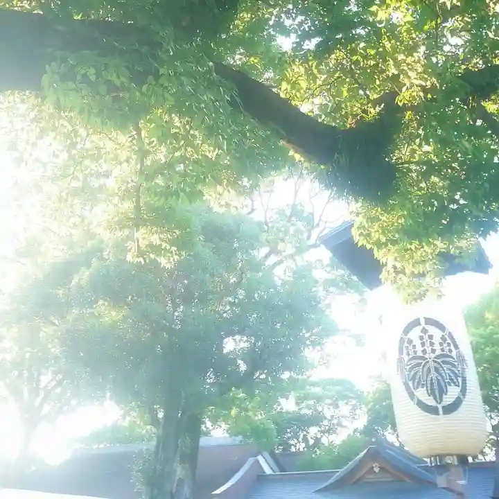 尾張大國霊神社(国府宮)の自然
