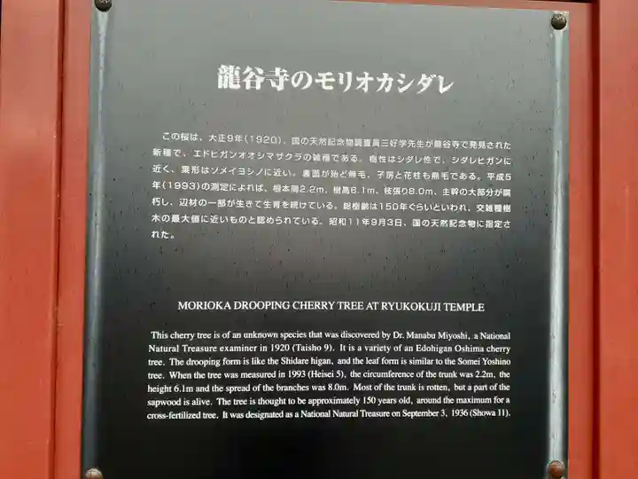 竜谷寺(岩手県)