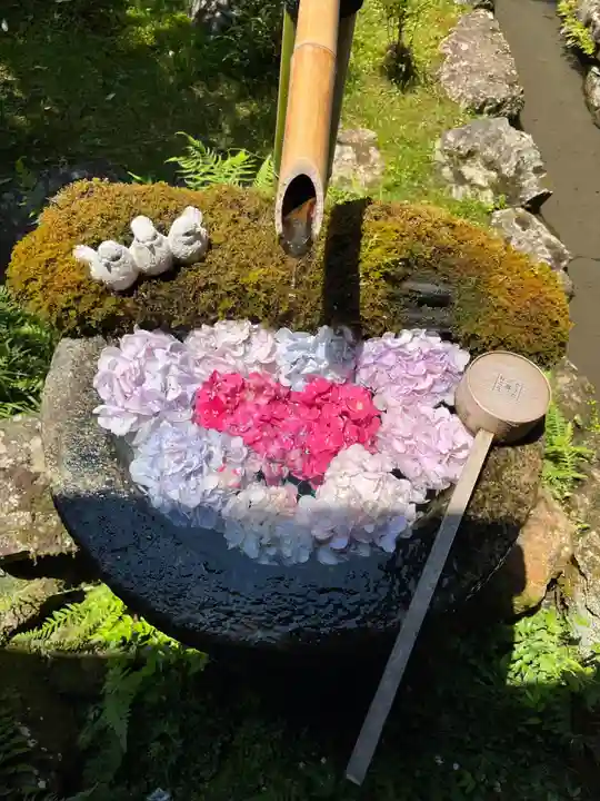 柳谷観音 楊谷寺(京都府)