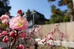 菅原天満宮（菅原神社）(奈良県)