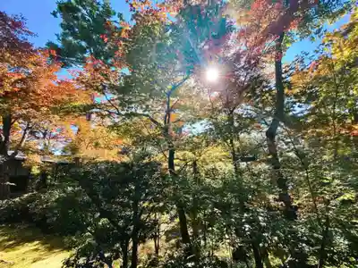 大法院(京都府)