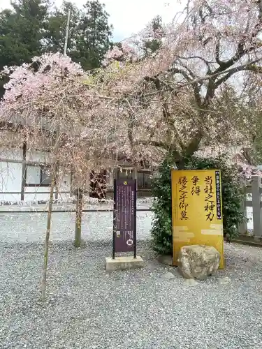 小國神社の{uncategorized: "未分類", other: "その他", undefined: "問題あり", building: "その他建物", grave: "お墓", sacred_gate: "鳥居", guardian: "狛犬", statue: "像", buddha: "仏像", history: "歴史", nature: "自然", garden: "庭園", animal: "動物", pagoda: "塔", temizu: "手水舎", mountain_gate: "山門・神門", sanctuary: "本殿・本堂", subordinate: "末社・摂社", art: "芸術", scenery: "景色", jizo: "地蔵", ema: "絵馬", goshuin: "御朱印", omikuji: "おみくじ", items: "授与品その他", amulet: "お守り", goshuincho: "御朱印帳", eats: "食事", festival: "お祭り", votive_dance: "神楽", shichigosan: "七五三参", wedding: "結婚式", experience: "体験その他", initially: "初詣", around: "周辺", anti_infection: "感染症対策"}