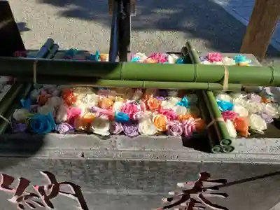 草加神社(埼玉県)