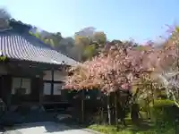 光則寺の本殿・本堂