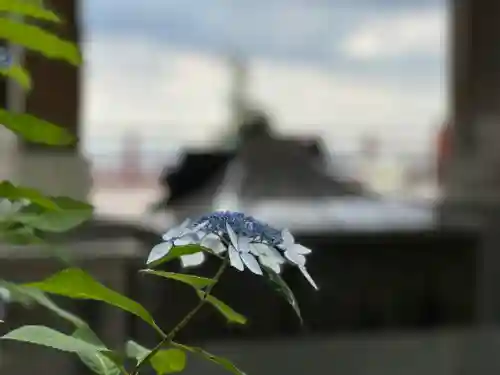 多摩川浅間神社(東京都)