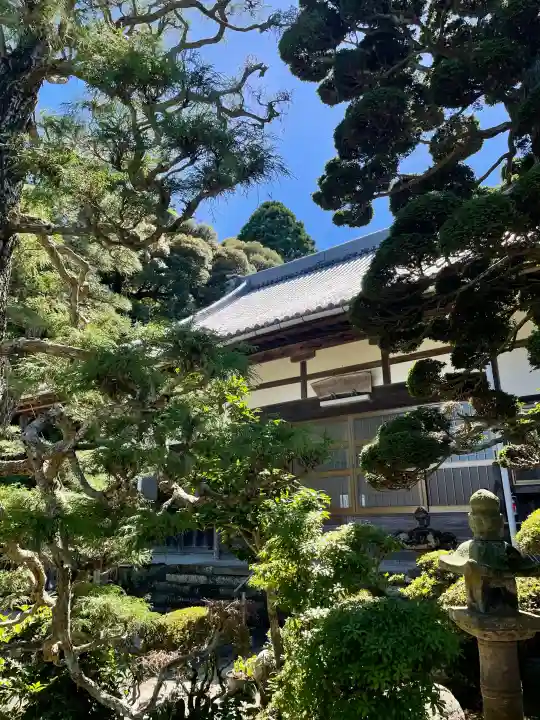 安楽寺の{uncategorized: "未分類", other: "その他", undefined: "問題あり", building: "その他建物", grave: "お墓", sacred_gate: "鳥居", guardian: "狛犬", statue: "像", buddha: "仏像", history: "歴史", nature: "自然", garden: "庭園", animal: "動物", pagoda: "塔", temizu: "手水舎", mountain_gate: "山門・神門", sanctuary: "本殿・本堂", subordinate: "末社・摂社", art: "芸術", scenery: "景色", jizo: "地蔵", ema: "絵馬", goshuin: "御朱印", omikuji: "おみくじ", items: "授与品その他", amulet: "お守り", goshuincho: "御朱印帳", eats: "食事", festival: "お祭り", votive_dance: "神楽", shichigosan: "七五三参", wedding: "結婚式", experience: "体験その他", initially: "初詣", around: "周辺", anti_infection: "感染症対策"}