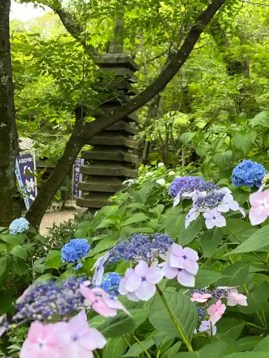 石清水八幡宮(京都府)