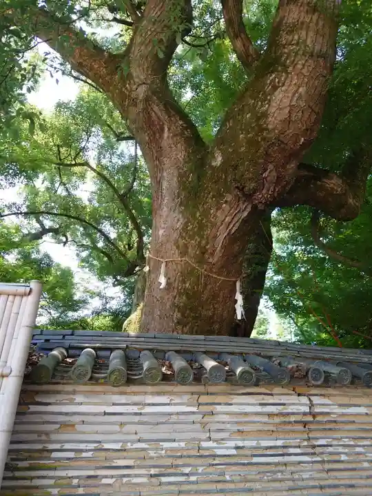 石清水八幡宮(京都府)