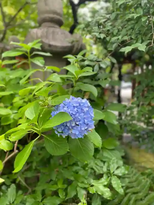 愛宕神社(東京都)