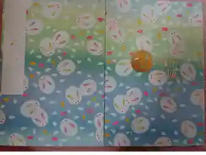 赤城神社の御朱印帳