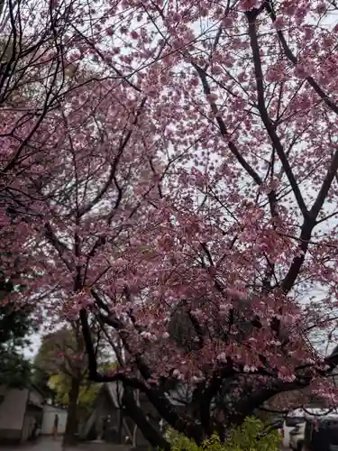 新井天神北野神社(東京都)