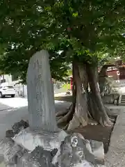 滝野川八幡神社(東京都)