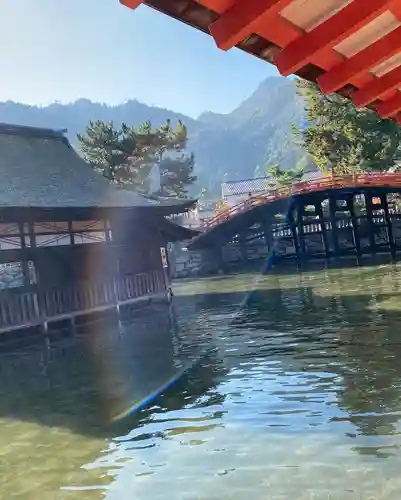 厳島神社の庭園