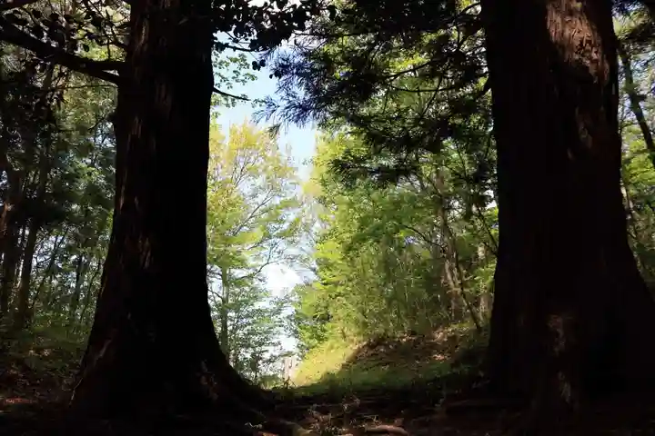 多賀神社の自然