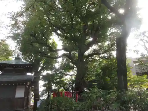 大福生寺(東京都)