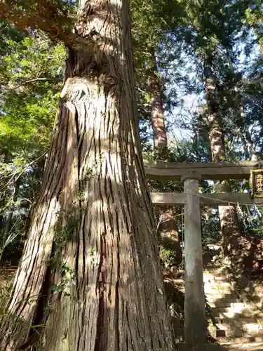 北野神社のその他建物