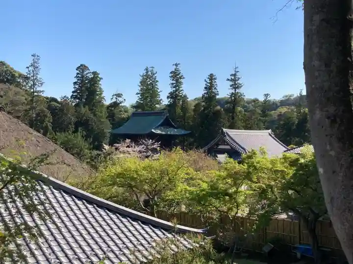 龍隠庵の{uncategorized: "未分類", other: "その他", undefined: "問題あり", building: "その他建物", grave: "お墓", sacred_gate: "鳥居", guardian: "狛犬", statue: "像", buddha: "仏像", history: "歴史", nature: "自然", garden: "庭園", animal: "動物", pagoda: "塔", temizu: "手水舎", mountain_gate: "山門・神門", sanctuary: "本殿・本堂", subordinate: "末社・摂社", art: "芸術", scenery: "景色", jizo: "地蔵", ema: "絵馬", goshuin: "御朱印", omikuji: "おみくじ", items: "授与品その他", amulet: "お守り", goshuincho: "御朱印帳", eats: "食事", festival: "お祭り", votive_dance: "神楽", shichigosan: "七五三参", wedding: "結婚式", experience: "体験その他", initially: "初詣", around: "周辺", anti_infection: "感染症対策"}
