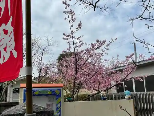粟島神社の自然