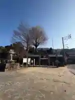 白山神社の{uncategorized: "未分類", other: "その他", undefined: "問題あり", building: "その他建物", grave: "お墓", sacred_gate: "鳥居", guardian: "狛犬", statue: "像", buddha: "仏像", history: "歴史", nature: "自然", garden: "庭園", animal: "動物", pagoda: "塔", temizu: "手水舎", mountain_gate: "山門・神門", sanctuary: "本殿・本堂", subordinate: "末社・摂社", art: "芸術", scenery: "景色", jizo: "地蔵", ema: "絵馬", goshuin: "御朱印", omikuji: "おみくじ", items: "授与品その他", amulet: "お守り", goshuincho: "御朱印帳", eats: "食事", festival: "お祭り", votive_dance: "神楽", shichigosan: "七五三参", wedding: "結婚式", experience: "体験その他", initially: "初詣", around: "周辺", anti_infection: "感染症対策"}