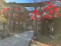 彌彦神社 (伊夜日子神社)の鳥居