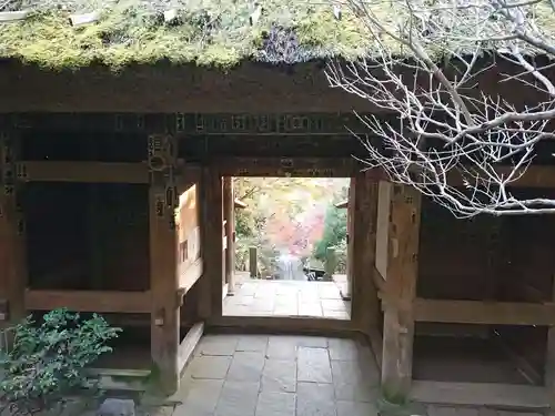 杉本寺の山門