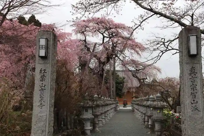 寳泉寺の山門