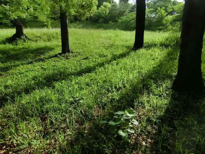 宇佐神宮の自然