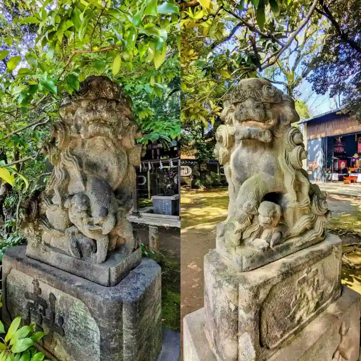 赤坂氷川神社の狛犬