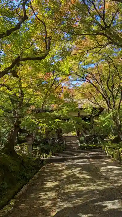 常寂光寺(京都府)