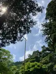 九頭龍神社の周辺