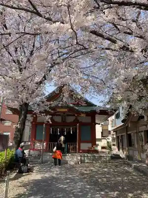 浅草富士浅間神社の本殿・本堂