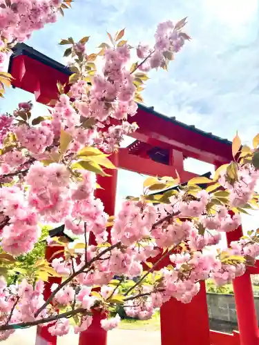 蚊里田八幡宮の{uncategorized: "未分類", other: "その他", undefined: "問題あり", building: "その他建物", grave: "お墓", sacred_gate: "鳥居", guardian: "狛犬", statue: "像", buddha: "仏像", history: "歴史", nature: "自然", garden: "庭園", animal: "動物", pagoda: "塔", temizu: "手水舎", mountain_gate: "山門・神門", sanctuary: "本殿・本堂", subordinate: "末社・摂社", art: "芸術", scenery: "景色", jizo: "地蔵", ema: "絵馬", goshuin: "御朱印", omikuji: "おみくじ", items: "授与品その他", amulet: "お守り", goshuincho: "御朱印帳", eats: "食事", festival: "お祭り", votive_dance: "神楽", shichigosan: "七五三参", wedding: "結婚式", experience: "体験その他", initially: "初詣", around: "周辺", anti_infection: "感染症対策"}