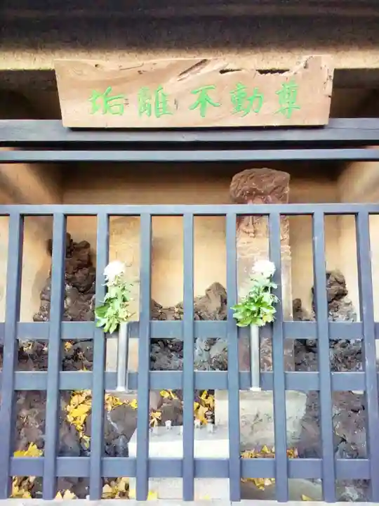 福蔵院(東京都)