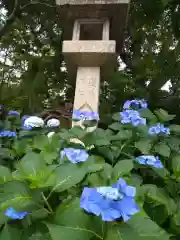 柳谷観音　楊谷寺(京都府)