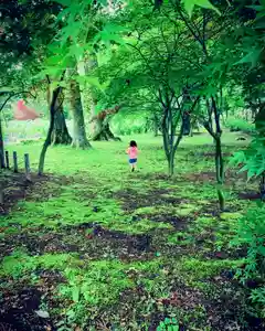 滑川神社 - 仕事と子どもの守り神の自然(2020年05月21日(木) 14時15分14秒投稿)