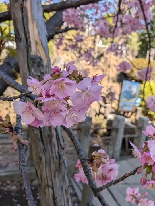鳩森八幡神社(東京都)