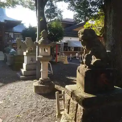 町田天満宮の狛犬