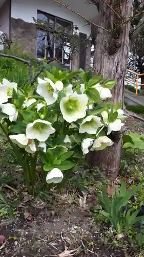 虻田神社の自然