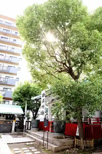 椙森神社の本殿・本堂