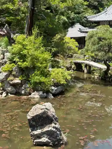 法華寺の{uncategorized: "未分類", other: "その他", undefined: "問題あり", building: "その他建物", grave: "お墓", sacred_gate: "鳥居", guardian: "狛犬", statue: "像", buddha: "仏像", history: "歴史", nature: "自然", garden: "庭園", animal: "動物", pagoda: "塔", temizu: "手水舎", mountain_gate: "山門・神門", sanctuary: "本殿・本堂", subordinate: "末社・摂社", art: "芸術", scenery: "景色", jizo: "地蔵", ema: "絵馬", goshuin: "御朱印", omikuji: "おみくじ", items: "授与品その他", amulet: "お守り", goshuincho: "御朱印帳", eats: "食事", festival: "お祭り", votive_dance: "神楽", shichigosan: "七五三参", wedding: "結婚式", experience: "体験その他", initially: "初詣", around: "周辺", anti_infection: "感染症対策"}