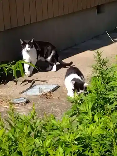 五郎兵衛稲荷神社(茨城県)