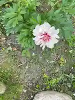 金剛寺(奈良県)