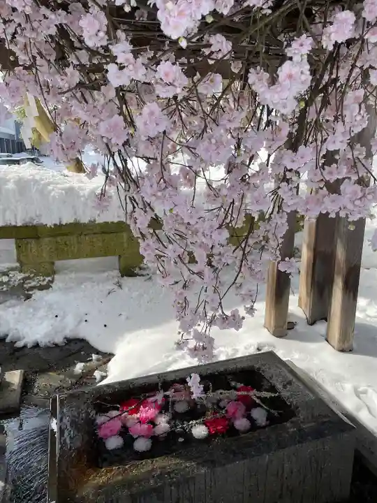 熊野大社(山形県)